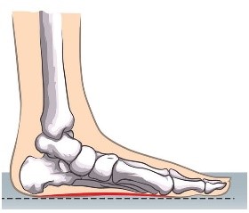 feet structure