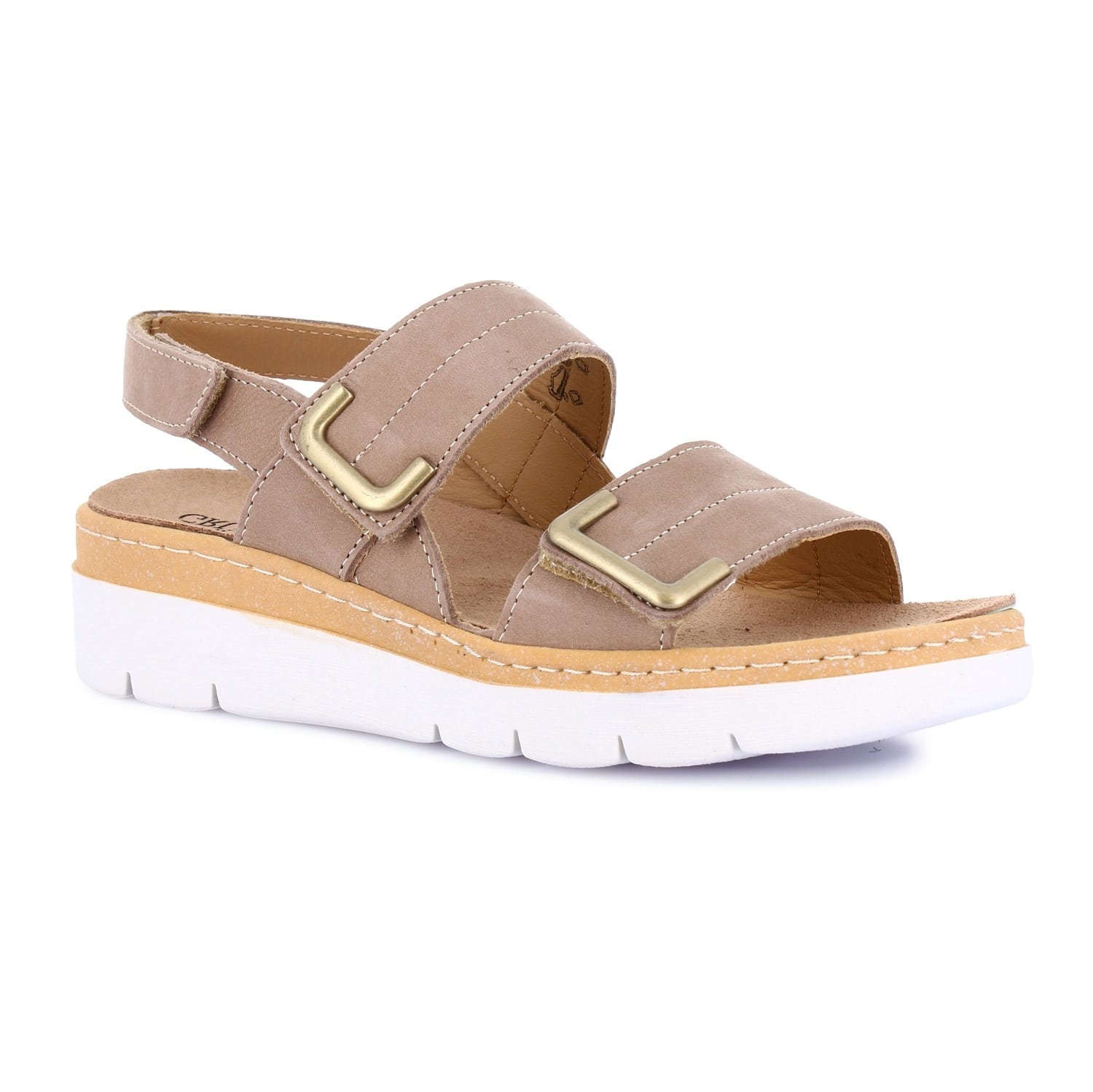 MOLL-SE0450-CORDA